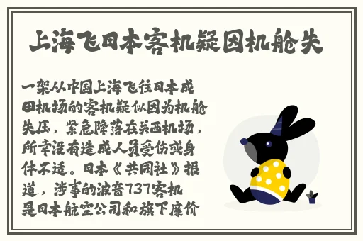 片多多影视